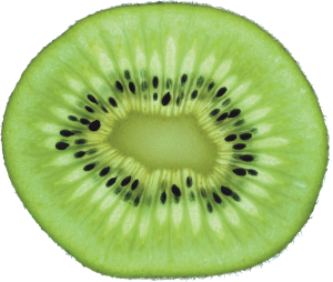 Green cutted kiwi PNG image-4037